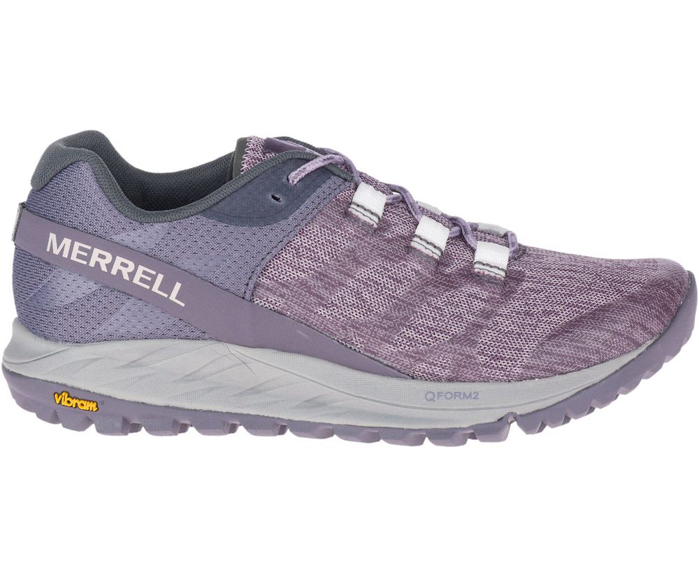 Merrell Sneakers Purple - Antora - Womens 86HRJPWMQ